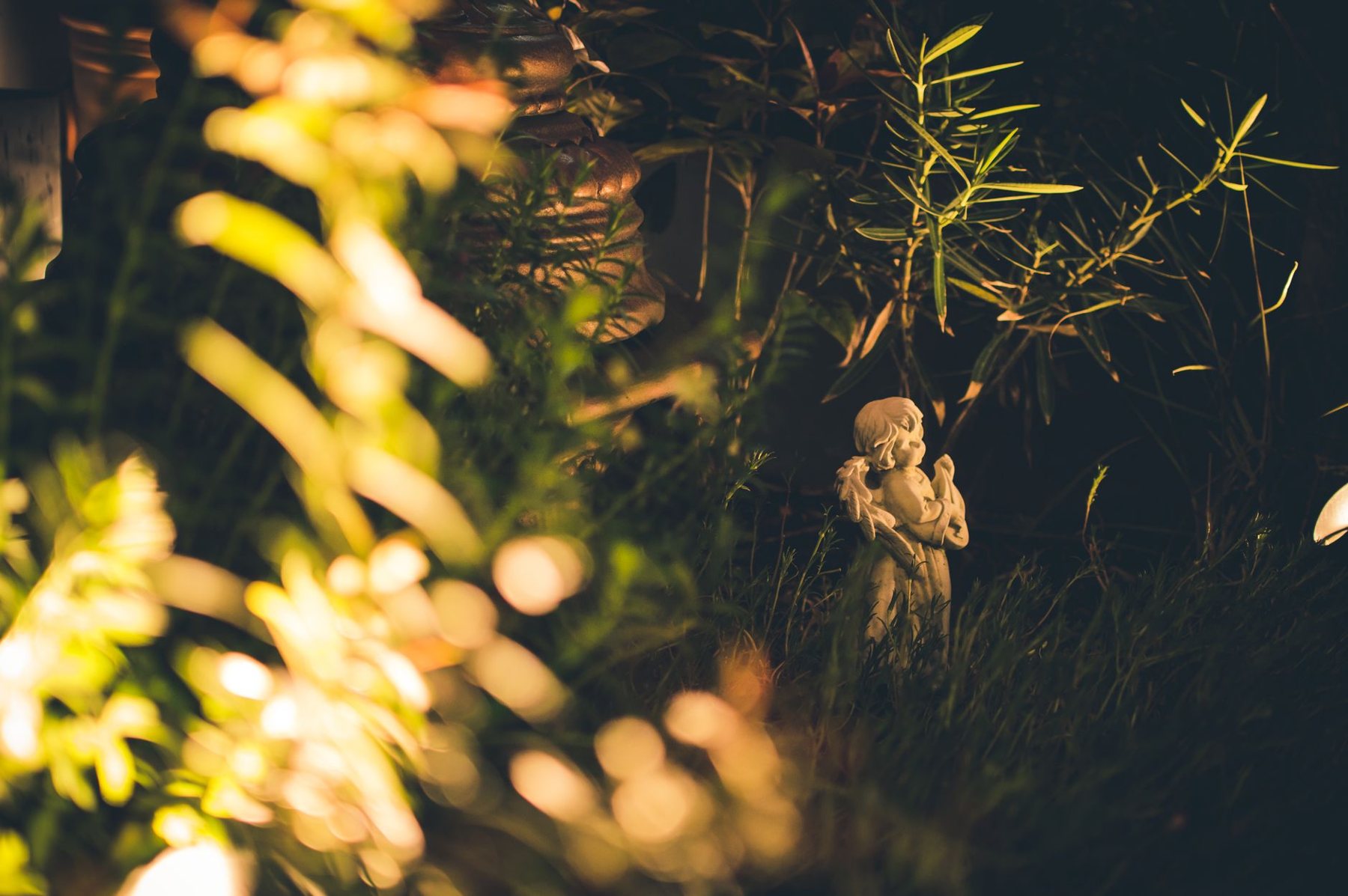 Landscape lighting at dusk in Glendale, AZ
